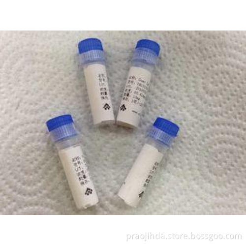 EDDP Custom Monoclonal Antibody , High Sensitivity Custom M